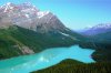 Peyto Lake.jpg