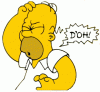 homer-simpson-doh-198074.gif