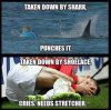 shark-meme-mick-fanning11-707x700.jpg