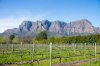 20150911- Stellenbosch-20.jpg