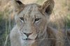 20150918- Botswana-408.jpg