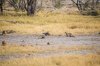 20150918- Botswana-286.jpg