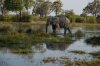 20150918- Botswana-61.jpg