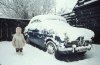 alfa in snow.jpg