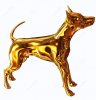 gold-dog-9168647.jpg