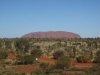 uluru_fromresort.jpg