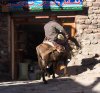 Kandovan 028.jpg