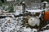 Vic snow cat.jpg