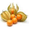 cape gooseberry.jpg