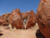 Tribal Trek from Alice Springs 009.JPG