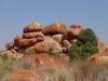 Tribal Trek from Alice Springs 013.JPG