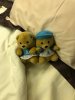 Two teddies SQ.jpg