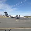 NZ Q300.jpg