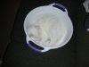 Bella in a bowl.jpg