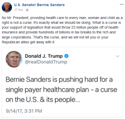 bernie.png