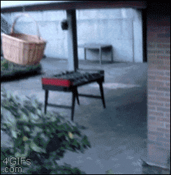 anigif_enhanced-buzz-18774-1381844645-6.gif