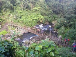 156 - Wooden bridge.jpg