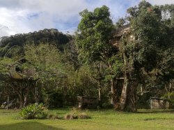 163 - Tree Houses - Efogi Village.jpg