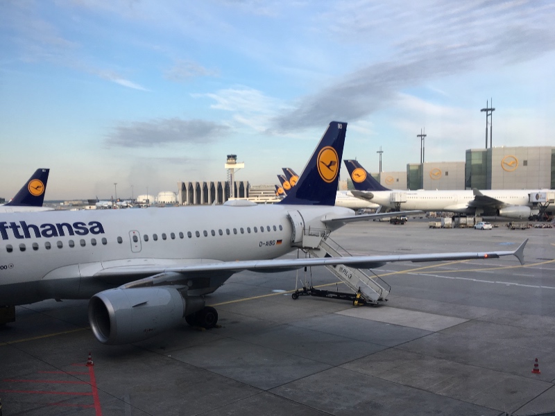 Lufthansa planes at Frankfurt Airport