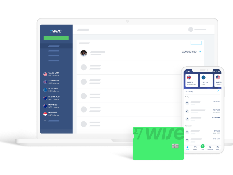 Wise website app and card
